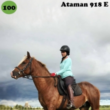 Ataman on sündinud 2014. aastal Saaremaal, i. Arthur, e. Aale, kasvataja Elle Toll, omanik Sirje Põldaru.

Ataman on hõbekõrb täkk, loomult väga tore ja inimest usaldav hobune, kes juba 1-aastasena astus inimese järel probleemideta kohe esimesel katsel treilerisse ja sõitis seal rahulikult pika teekonna. Atamanil on suurepärane iseloom ja hea õppimistahe, ta keskendub täielikult inimesega koostööle ka siis, kui märapreilid on lähedal. Tema peamiseks õpetajaks on olnud põhikooliealine tütarlaps, kellele ta ilusasti kuuletub nii platsitrennis kui üksi maastikul sõites. Loodame, et oma head omadused pärandab ta ka järglastele, esimesed varsad on juba sündinud. Ataman on edukalt läbinud noorhobuste jõudluskatsed ja saanud tunnustatud sugutäku staatuse. 