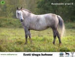Rosinante 3752E Rosinante 3752E