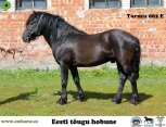Tormis 882E