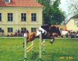 Abeelia saue võistlustel. Foto A.Pärisoo