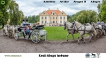 Amadeus (s. 2005) ja Allegro (s. 2005) on sündinud Saaremaal Tika talus ning Aragon (s. 2011) ja Avatar (s. 2010) on sündinud Muhus Tihuse Hobuturismi talus. Kõigi nelja hobuse isa on täkk Anakee, omanik Voore Tallid.

Need neli eesti hobust on ühe väga ammuse unistuse täitumine. Amadeus ja Allegro saabusid meile 2009. aastal, noorte ja kogenematutena. Algasid treeningud. Aastate jooksul sai sõidetud ja võisteldud nii ratsa kui rakendis, osutatud kalessisõiduteenust nii linnas kui maal, ühesõnaga olid usaldusväärsed hobused igal alal. Seejärel 2014. aastal astus meie hoovil treilerist maha järgmine paar eesti hobuseid - Avatar ja Aragon. Algas taas usin töö tegemine, sest soov oli kalessi ette rakendada neli eesti tõugu hobust. Töö nende neljaga on olnud põnev ja täis väljakutseid, iga üks neist on isiksus oma iseloomu ja tujudega. Töös on nad on lõbusad, sitked ja väsimatud, puudutades igaühe hinge kellega kohtume.

Foto autor: Karl-Kristjan Nigesen