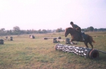 Rodeoga väljakul. Foto Madis Noor