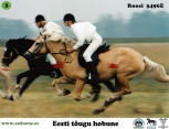 Roosi 3496E