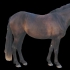 Pleekivmust (fading black) - aaE