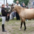 2a mära Tessa; kasv Anne Grünberg, om Mariann Averin