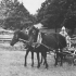 Eesti hobused Ruhnu saarel. Foto: Rannarootsi muuseum