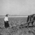 Vormsi. Foto: Rannarootsi muuseum