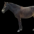 Heledad varjundid (mealy)