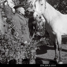Läänemaa põllumajandusnäitus. I auhinna saanud eesti tõugu hobune Leida.
Aeg: 1947

Rahvusarhiiv EFA.204.0.1014 https://www.ra.ee/fotis/index.php/et/photo/view?id=83412&_xr=61a0db3b8f16a