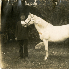 Mära Martha, kes sai I koha Kuressaare näitusel.
Dateering: 27.8.1923

Mära Martha, kes sai I koha Kuressaare näitusel, SM F 4151:43 F, Saaremaa Muuseum SA, http://www.muis.ee/museaalView/3285658