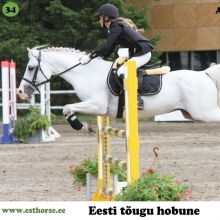 Anakee on sündinud 1997. aastal Pärnumaal, i. Anti, e. Petra, kasvataja Elle Suvi, omanik Tika talu.

Anakee on erksa loomuga täkk, üks sportlikuma tüübi esindajaid eesti hobuste seas. Tema nimele saab kanda kümned järglased, lugematul hulgal poodiumikohti nii takistussõidu kui koolisõidu võistlustelt, nende seas mitmed medalid meistrivõistlustelt.

Tänaseks päevaks on väärikas eas härrasmees jätnud selja taha võistlushobuse karjääri ja naudib pensionipõlve Tika talus, kus on ta veetnud suurema osa oma elust. Märasid ootab Anakee aga endiselt külla!

Foto autor: Ago Ruus