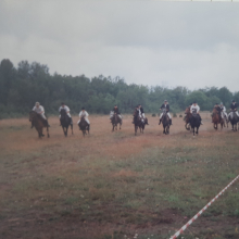 Eesti hobuste galopivõistlus Muhus enne 1998a.

Foto autor: Elen Eerik