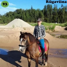 Rügaviina on sündinud 2010. aastal Jõgevamaal, i. Rikoshet, e. Amoora, kasvataja Katrin Kaalep, omanik Daisi Hurt.

Rügaviina saabus praeguse omaniku juurde viieaastasena. Suvel panid tüdrukud ta sadulasse. See kulges suhteliselt lihtsalt ja varsti sai koos teiste hobustega maastikule minna. Ühele tüdrukutest hakkas tema malbe loomus meeldima ning ta rentis Rügaviinat umbes aastakese. Siis tuli mära koju ja perenaine katsetas temaga ratsutamist. Kuna see oli väga hea ja turvaline, siis sai temaga käidud ka poes ja isegi tööl. Karjamaal meeldib Rügaviinale olla shetlandi ponide seltskonnas, ta lausa naudib nende juures olemist. Nüüd plaanitakse Rügaviinale varssa, et nii head iseloomu edasi pärandada. 
