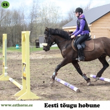 Rall on sündinud 2012. aastal Viljandimaal, i. Rallik, e. Akiira, kasvataja Ahto Alas, omanik Regne Soon.

Rall on suuremat kasvu sportliku kehaehitusega mõmmik. Karjamaale minnes tuleb ta alati vastu ja hirnatab kõigile tervituseks. Ralli iseloomustavad elastsus, koostöötahe, kiire õppimisvõime ja suurepärased käigud. Kuigi Rall on tulisema loomuga, siis ta on alati käsitletav. Temas on lihtsalt nii palju energiat. Rall saduldati alles viie aasta vanusena ja koostöö temaga muutub pideva treeningu käigus aina meeldivamaks. Tal on potentsiaali end näidata nii takistussõidus kui ka koolisõidus ning miks mitte ka kolmevõistluses ja kestvusratsutamises tänu heale vastupidavusele.

Foto autor: Regne Soon