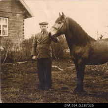 Eesti tõugu sugutäkk Jang.
Aeg:1930

Rahvusarhiiv EFA.554.0.187336 https://www.ra.ee/fotis/index.php/et/photo/view?id=245027&_xr=619cc2393444c