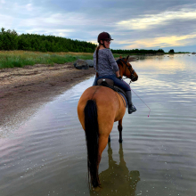 Emerald, minu maailm!

Eluagne unistus läks täide, minu esimene hobune, parim kaaslane! Tänaseks on neid juba neli. Veel rohkem armastust.

Foto autor: Grettel Äkke
Foto saatja: Kairi Roostalu