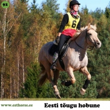 Ruudik on sündinud 2005. aastal Järvamaal, i. Ruttar, e. Africana, kasvataja Joel Jürisson, omanik Marian Koplimäe. 

Ruudik, omadele Räim, on ostetud 3-aastasena ja erilist sportlikku ambitsiooni omanikul temaga esialgu ei olnud. Loodus pole õnnistanud Räime just üleliia heade käikudega või suurepärase hüppetehnikaga. Oma kehaehituselt oleks ta vast rakendisporti kõige paremini sobinud, kuid kahjuks on see siiani ainus spordiala, millega Räim üldse nõus ei olnud. Oma emalt on isand Räim pärinud suurepärase töötahte ja „pommikindluse“ ning peale edukaid esinemisi kestvusratsutamises, takistus- ja koolisõidus on isand Räim liikunud edasi schoolmasteri seisusesse ja õpetab lapsi Piira tallis.

Foto autor: Külli Tedre-Gavrilov