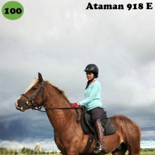 Ataman on sündinud 2014. aastal Saaremaal, i. Arthur, e. Aale, kasvataja Elle Toll, omanik Sirje Põldaru.

Ataman on hõbekõrb täkk, loomult väga tore ja inimest usaldav hobune, kes juba 1-aastasena astus inimese järel probleemideta kohe esimesel katsel treilerisse ja sõitis seal rahulikult pika teekonna. Atamanil on suurepärane iseloom ja hea õppimistahe, ta keskendub täielikult inimesega koostööle ka siis, kui märapreilid on lähedal. Tema peamiseks õpetajaks on olnud põhikooliealine tütarlaps, kellele ta ilusasti kuuletub nii platsitrennis kui üksi maastikul sõites. Loodame, et oma head omadused pärandab ta ka järglastele, esimesed varsad on juba sündinud. Ataman on edukalt läbinud noorhobuste jõudluskatsed ja saanud tunnustatud sugutäku staatuse. 
