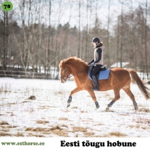Tuus on sündinud 2007. aastal Tartumaal, i. Trevor, e. Etti, kasvataja Priit Ojamaa, omanik Mia Lahtvee.

Kõik, kes on Tuusaga kohtunud tõdevad, et nimevalikuga ei ole siin mööda pandud - tegu on tõesti ühe tuusa hobusega, sest iseloomult on Tuus ehe, äge ja omapärane. Tuus on hea näide sellest, kuidas suur töötahe ja motivatsioon võivad ka keskpärase kehatüübiga eesti hobusest välja võluda parima. Kuigi tal on vahest raske, sest tema keha on pikk ja jalad lühikesed, annab talle õnnestumine ja kiitus nii palju jõudu, et aastatega on Tuus oma arenguga nii mõnegi pannud kulmu kergitama. Igapäevaselt elab Tuus hobuse elu ja tegeleb oma omaniku heameeleks salamisi koolisõiduga, kuigi poni enda kirg paistab olevat kross.

Foto autor: Kersti Kalberg