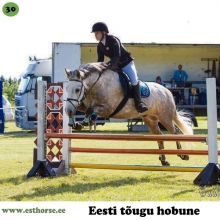 Ruudi-Ruu on sündinud 2010. aastal Raplamaal, i. Ruttar Juunior, e. Tequila, kasvataja ja omanik OÜ Juurimaa Tall. 

Ruudi-Ruu on üks suurepärane näide eesti hobuse mitmekülgsusest. Ta on võistelnud edukalt koolisõidus, takistussõidus, kolmevõistlustel ja rakendispordis. Ta on Juurimaa ratsakooli raudvara ja suvel turvaline kaaslane ka algajatele turistidele. Lisaks kõigele sellele on Ruudi-Ruu olnud kaasatud erinevatel filmivõtetel, sh 