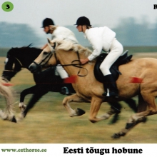 Roosi (1990-2013), i. Rips, e. Tulda, kasvataja Peep Pärisoo. 

Roosi on tänapäeva eesti hobuse populatsioonis suure mõjuga märaperekonna alustaja. Roosi jättis tõule tunnustatud sugutäkud Rodeo (i. Roman), Aiken (i. Anakee), Teik (i. Tommi), Rasmus (i. Rosett), Rajur (i. Rosett), Repriis (i. Raksel) ning märajärglased Adeelia (i. Ando) ja Abeelia (i. Ando), kes omakorda on andud tõule kõrgelt tunnustatud järglasi.  Märajärglane Amanda on aga näidanud ebaharilikku võimekust kestvusratsutamises . Roosi on kantud ka igaveseks filmiajalukku kui osatäitja filmis 