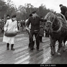 Tõuhobuste katsed Tallinna hipodroomil. Eesti tõugu mära Valli.
Aeg: 10.1952

Rahvusarhiiv EFA.204.0.4809 https://www.ra.ee/fotis/index.php/et/photo/view?id=87212&_xr=619feb44560ca