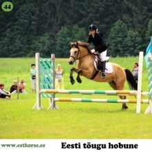 Taranee on sündinud 2012. aastal Viljandimaal, i. Trevor, e. Toora, kasvataja Linda Leemets, omanik Kristi Alert.

Taranee on iseloomult väga energiline ja rõõmus poni, kellele tohutult meeldib käia pikkadel matkadel. Eriti meeldib talle, kui lisaks pikale matkarajale saab ta ennast põldudel galopitades välja elada, kuid kui kevadel on vaja vaod sisse künda, teeb ta sedagi väga edukalt. Väga võimekas on ta olnud ka oma kahel võistlusaastal, kust siiani oleme koju toonud mitu rosetti. Laste tähelepanu on Taranee pälvinud eesti hobusele omase rahulikkuse ja heatahtlikkuse poolest. Taranee suudab hästi kohaneda olukorraga ning jääda alati rahulikuks.

Foto autor: Andreas Pernits