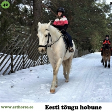 Muuksi Rinti on sündinud 2012. aastal Harjumaal, i. Raksel, e. Aami, kasvataja OÜ Muuksi Muhe, omanik Angelika Koovit.

Mära Muuksi Rinti on loomult karjajuht ja näitab seda välja kõigile, kellega iganes peab koplit jagama. Hingelt on ta 