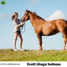 Terja on sündinud 2011. aastal Saaremaal, i. Teik, e. Anja, kasvataja Pihtla hobusekasvandus, omanik A. Metsmaker.

Terja elas esimesed neli eluaastat karjas muretut hobuseelu ning siis sai temast ratsahobune. Iseloomult on Terja tõeline inimese- ja maiusesõber. Ta on alati valmis nuhkima taskutes, et midagi head leida ja kui platsil ratsutades anda talle valida, kuhu seisma jääda, siis liigub ta alati esmajoones mõne inimese juurde. 

Tema uudishimu on piiritu ja ta aitab näiteks inimesel boksis uut heinavõrku üles sättida ning platsil rebasekutsikate jälgimine ja nendega mängimine tundub talle iseenesestmõistetav.  Mõned uued asjad panevad teda ka võpatama, aga eks meil kõigil ole oma nõrgad kohad.

Karjas käitub ta ikka nagu tõeline eesti tõugu mära ehk tema on see, kes asjad paika paneb. Oma vanematelt on ta pärinud suurepärase väheste märgistega välimuse ja ilusa liikumise ning hüppe. Sadulas käitub Terja viisakalt ning on igati koostööaldis, aga vahel harva tuleb talle muidugi ka silma väike vallatu säde ja siis on vaja kindlameelset ratsanikku, et isepäisest krutskineiust saaks jälle kõige fantastilisem ratsu.

Foto autor: Anett Jaadla